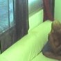 Black couple making out