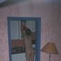 Short Haired Nude Teen Dressing up in a Messy Room Unnoticed